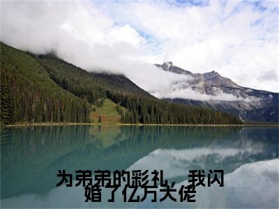 池黛江知野的小说免费阅读（为弟弟的彩礼，我闪婚了亿万大佬的小说免费阅读）全文完整版免费阅读