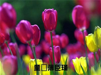 薄臣瑾童椥（童椥薄臣瑾）小说全文无删减版在线阅读_童椥薄臣瑾（薄臣瑾童椥无弹窗）_笔趣阁