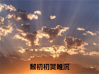 黎初初贺睢沉(贺睢沉黎初初)全文免费阅读无弹窗大结局_(黎初初贺睢沉)贺睢沉黎初初最新章节列表_笔趣阁
