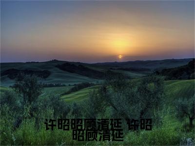 许昭昭顾清延（ 许昭昭顾清延）免费小说-主角 许昭昭顾清延全文在线完本阅读笔趣阁