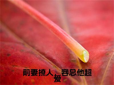 前妻撩人，容总他超爱(安檀容宴西)免费全文阅读小说_（前妻撩人，容总他超爱）安檀容宴西最新章节列表-笔趣阁（前妻撩人，容总他超爱）