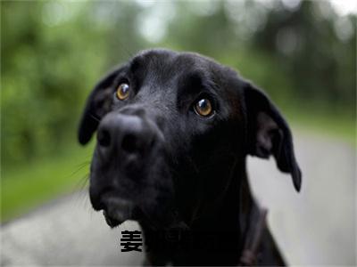 裴屿墨姜妍（姜妍裴屿墨）全文免费阅读无弹窗大结局_姜妍裴屿墨完整版小说阅读（裴屿墨姜妍）