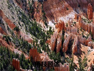 傅枝顾谕(顾谕傅枝)小说免费下载全本-傅枝顾谕(顾谕傅枝完整版)免费阅读无弹窗(傅枝顾谕)