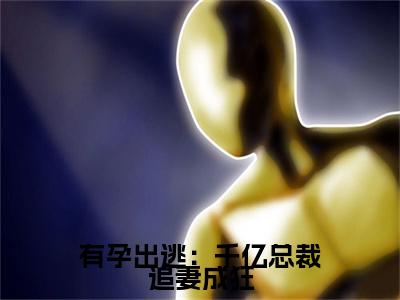有孕出逃：千亿总裁追妻成狂全文免费阅读无弹窗大结局_(夏时陆南沉)免费阅读全文无弹窗_