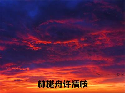 林樾舟许清桉（许清桉林樾舟)全文免费阅读无弹窗大结局_林樾舟许清桉最新章节列表_笔趣阁
