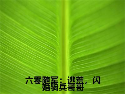 六零随军：逃荒，闪婚骑兵哥哥小说（ 庄明诚陆芳芳）最新章节阅读-六零随军：逃荒，闪婚骑兵哥哥（ 庄明诚陆芳芳）免费阅读无弹窗大结局