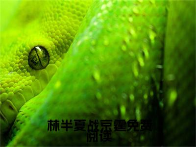 小说天才儿子：总裁大人靠儿子追妻 林半夏战京霆全文免费阅读无弹窗大结局_ 林半夏战京霆小说免费阅读