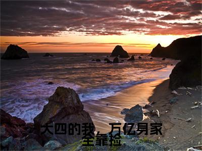 大四的我，万亿身家全靠捡小说最新章节在线阅读_大四的我，万亿身家全靠捡在线阅读