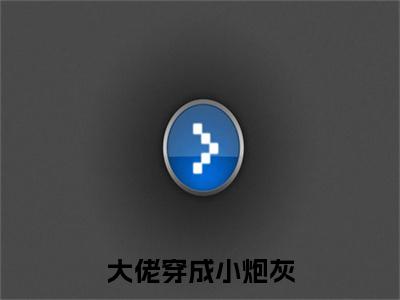 大佬穿成小炮灰，怒摔叛逆柔弱人设小说主角是（ 岁一荣墨寻）全文完整版免费阅读最新章节列表_ 岁一荣墨寻小说在线阅读