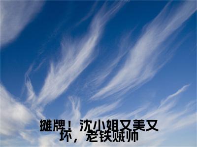 沈念小说全文-摊牌！沈小姐又美又坏，老铁贼帅小说免费阅读大结局