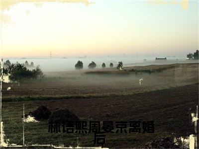 离婚后，老公天天跪求复合小说试读全文全文（ 林语熙周晏京）全文免费阅读无弹窗大结局_ 林语熙周晏京免费最新章节列表_笔趣阁（离婚后，老公天天跪求复合小说试读全文）