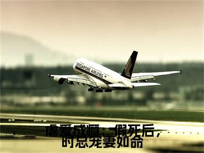 虐爱成瘾：假死后，时总宠妻如命（时谨意桑蜜）完结版小说-虐爱成瘾：假死后，时总宠妻如命小说全文免费阅读笔趣阁