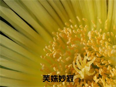 妙寂芙姝（芙姝妙寂）在线阅读的小说完整版-芙姝妙寂（妙寂芙姝）小说免费阅读