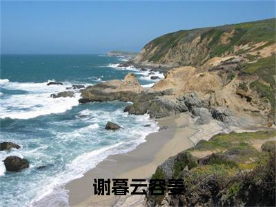谢暮云容姜（容姜谢暮云全章节完整版）免费阅读_（容姜谢暮云）谢暮云容姜全文无删减免费阅读