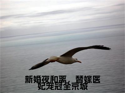 新婚夜和离,替嫁医妃宠冠全京城(沐云姝容九思)全文免费阅读无弹窗大结局_(沐云姝容九思)新婚夜和离,替嫁医妃宠冠全京城免费阅读无弹窗最新章节列表_笔趣阁(沐云姝容九思)
