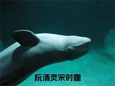 阮清灵宋时霆今日阅读更新，阮清灵宋时霆全文在线看