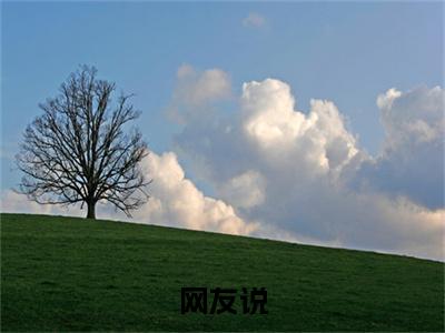 网友说全集章节小说免费阅读完整版（ 春山赵暖橙）- 春山赵暖橙小说免费阅读