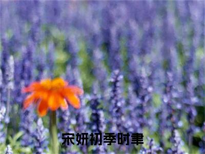 宋妍初季时聿热门小说目录推荐 季时聿宋妍初全文完整版阅读