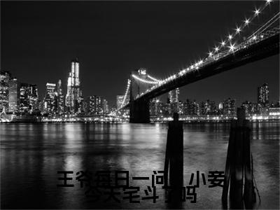 王爷每日一问，小妾今天宅斗了吗免费小说-（王爷每日一问，小妾今天宅斗了吗）江锦心完结版在线阅读