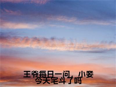 王爷每日一问，小妾今天宅斗了吗全集小说完整版大结局_江锦心完结版在线阅读