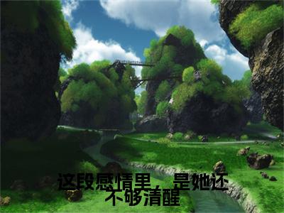 这段感情里，是她还不够清醒（宁云舒沈承则）全文免费阅读最新章节_这段感情里，是她还不够清醒大结局精彩阅读_笔趣阁（宁云舒沈承则）