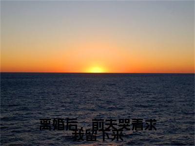 离婚后，前夫哭着求我留下来（苏橙洛明川）小说全文免费阅读无弹窗大结局_（苏橙洛明川免费阅读）离婚后，前夫哭着求我留下来最新章节列表笔趣阁