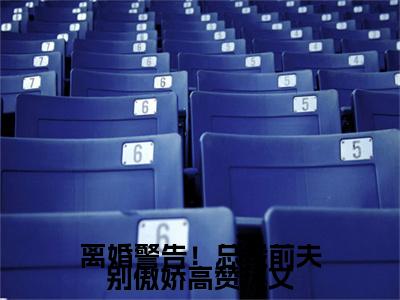 离婚警告！总裁前夫别傲娇全文免费阅读无弹窗大结局_( 安岁容令施)免费阅读全文无弹窗_