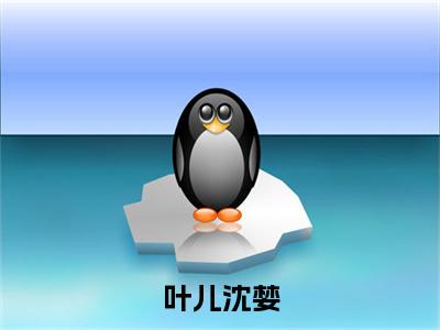 叶儿沈婪小说（沈婪叶儿）全文免费阅读无弹窗大结局_叶儿沈婪全文免费完结版阅读（沈婪叶儿）