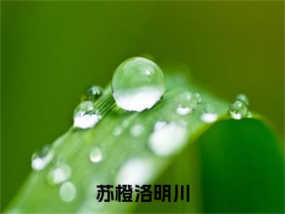 苏橙洛明川小说全文免费阅读正版 洛明川苏橙免费阅读无弹窗