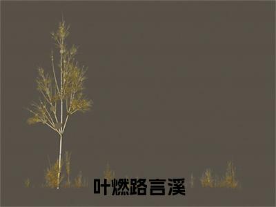 叶燃路言溪（路言溪叶燃）全文完整版免费阅读_路言溪叶燃（叶燃路言溪全文免费阅读）最新章节列表_笔趣阁（叶燃路言溪）