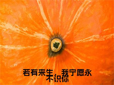 若有来生,我宁愿永不识你(温漓傅凌川)全文免费阅读无弹窗大结局_若有来生,我宁愿永不识你在线阅读笔趣阁