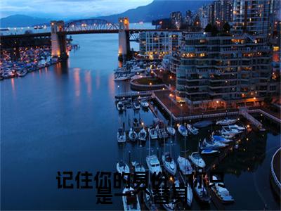 舒虞霍闻檀全文免费在线阅读_(记住你的身份,你只是一个替身全文免费阅读无弹窗大结局)