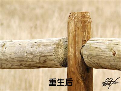重生后,我靠前世记忆投资赢麻了小说冷千雪（ 冷千雪明域）全文免费阅读无弹窗大结局_重生后,我靠前世记忆投资赢麻了小说冷千雪( 冷千雪明域)最新章节列表_笔趣阁（ 冷千雪明域）
