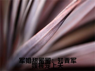 军婚甜蜜蜜：知青军嫂被宠上天（沈安念秦正祁）全文免费阅读无弹窗_沈安念秦正祁小说_笔趣阁