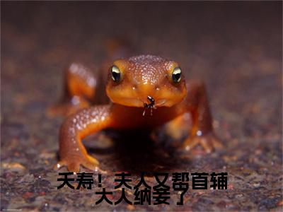 夭寿！夫人又帮首辅大人纳妾了(云薇顾长凌)免费全文阅读小说_（夭寿！夫人又帮首辅大人纳妾了）云薇顾长凌最新章节列表-笔趣阁（夭寿！夫人又帮首辅大人纳妾了）