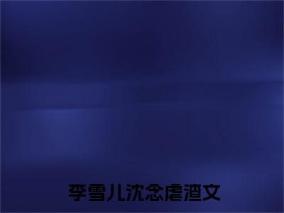 李雪儿沈念全文免费在线阅读_（重生在贷款看演唱会前一天全文免费阅读无弹窗大结局）