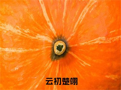 《被养子害死后，她恶母名头传遍京城》 云初楚翊在哪免费看-被养子害死后，她恶母名头传遍京城（ 云初楚翊）已完结全集大结局