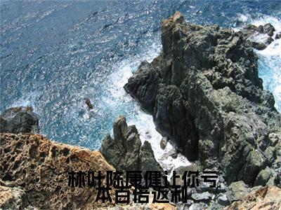 让你亏本百倍返利，你竟白手起家了？ 林叶陈康健正版美文欣赏  林叶陈康健小说全文完整版免费阅读
