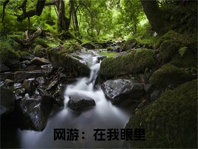  秦小悠秦风（网游：在我眼里，你全身都是弱点！）小说结局- 秦小悠秦风全文无弹窗阅读