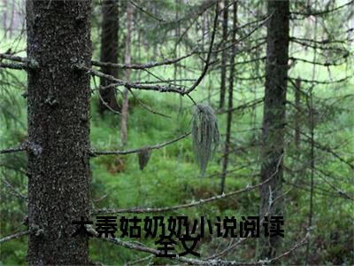 （ 绵绵杨凯）大秦姑奶奶小说阅读全文全文免费阅读无弹窗_（大秦姑奶奶小说阅读全文小说免费阅读）最新章节列表笔趣阁