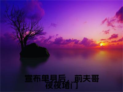 宣布单身后，前夫哥夜夜堵门（林斯理周豫）小说免费阅读-宣布单身后，前夫哥夜夜堵门（林斯理周豫）已完结全集大结局小说
