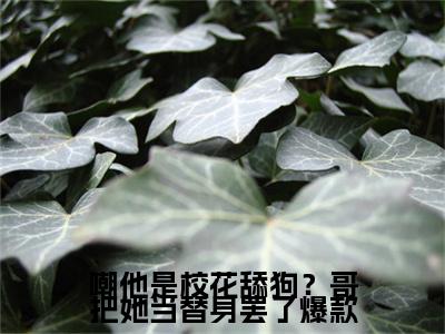 嘲他是校花舔狗？哥把她当替身罢了（ 陈青山林梦云）全文免费阅读无弹窗大结局_嘲他是校花舔狗？哥把她当替身罢了全文免费阅读最新章节列表_笔趣阁