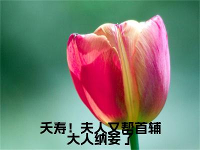 夭寿！夫人又帮首辅大人纳妾了（云薇顾长凌）精彩热门小说_（夭寿！夫人又帮首辅大人纳妾了）云薇顾长凌最新章节列表_笔趣阁