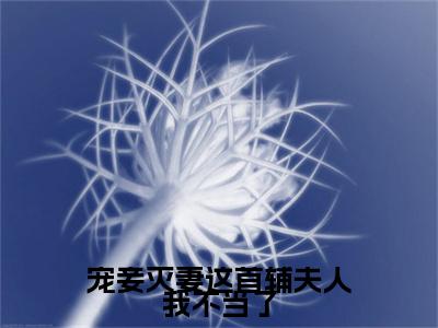 宠妾灭妻这首辅夫人我不当了（云奕霄苏青玉）全文免费阅读无弹窗_（宠妾灭妻这首辅夫人我不当了小说免费阅读）最新章节列表笔趣阁