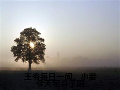 王爷每日一问，小妾今天宅斗了吗小说（江锦心）全文免费阅读无弹窗大结局_（江锦心）王爷每日一问，小妾今天宅斗了吗最新章节列表（江锦心）