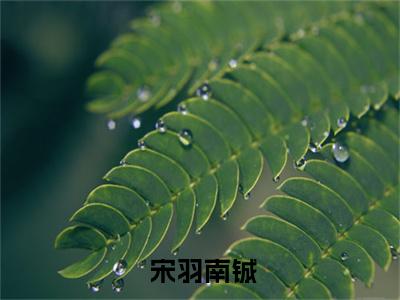 云边赴（ 宋羽南铖）免费阅读_ 宋羽南铖小说免费阅读-笔趣阁