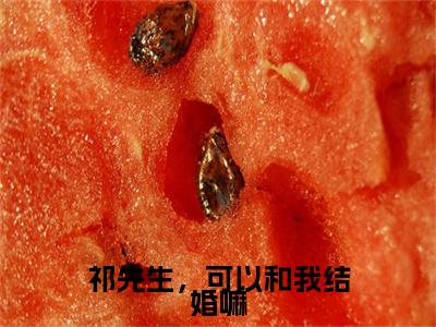 祁先生，可以和我结婚嘛免费阅读（温知闲祁砚京）全文免费阅读无弹窗大结局_祁先生，可以和我结婚嘛免费阅读最新章节列表_笔趣阁