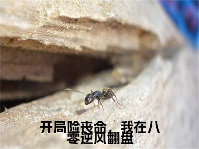 梁歆甜(开局险丧命，我在八零逆风翻盘)全文免费阅读无弹窗大结局_(梁歆甜全文阅读)开局险丧命，我在八零逆风翻盘无弹窗最新章节列表_笔趣阁开局险丧命，我在八零逆风翻盘