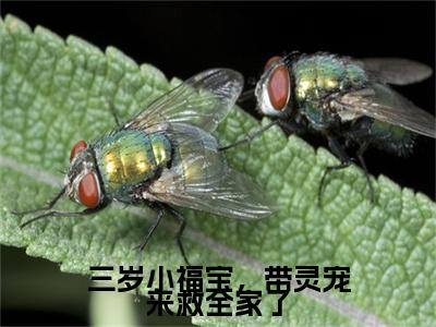 三岁小福宝,带灵宠来救全家了(江妙妙)全文免费阅读无弹窗大结局_(三岁小福宝,带灵宠来救全家了免费阅读)江妙妙无弹窗最新章节列表_笔趣阁(江妙妙)