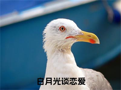 白月光谈恋爱，我却被批评教育了小说试读完结章（ 叶鹏姚玉叶）全文免费阅读无弹窗大结局_（白月光谈恋爱，我却被批评教育了小说试读完结章免费阅读） 叶鹏姚玉叶最新章节列表_笔趣阁（ 叶鹏姚玉叶）
